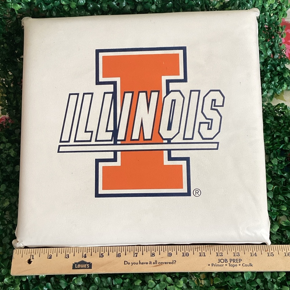 Illinois Logo seat cushion.
